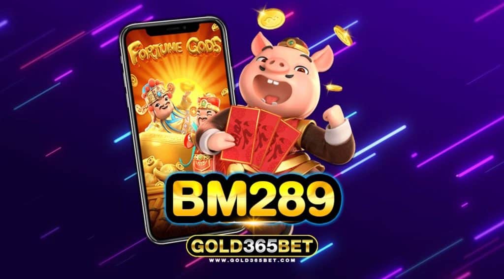 BM289